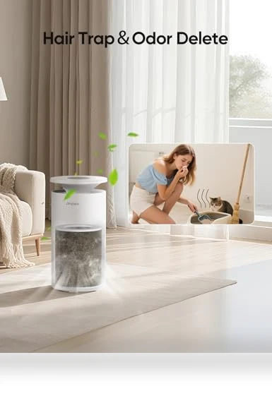 Large Room Air Purifier — HEPA Air Purifiers, Dhyala