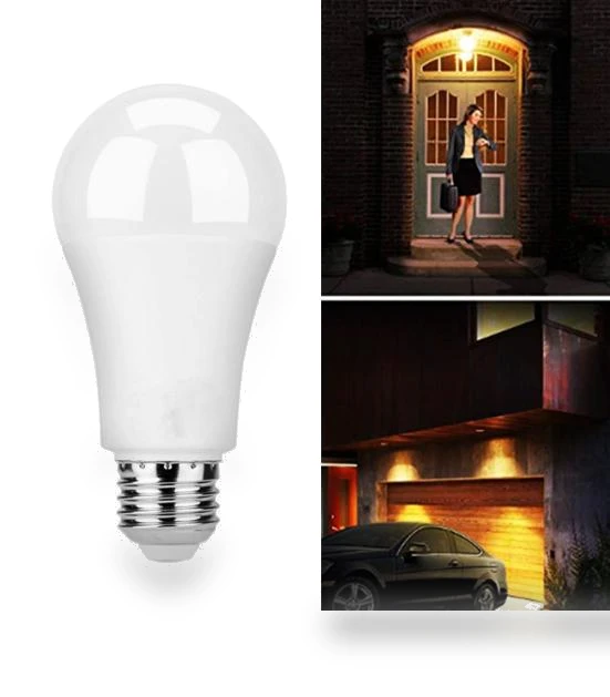 LED Light Motion Sensor Globe Bulb — Lighting Solutions, Clean Products