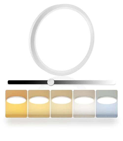 LED Flush Mount Ceiling Light — Overhead Lighting, EOSMILE