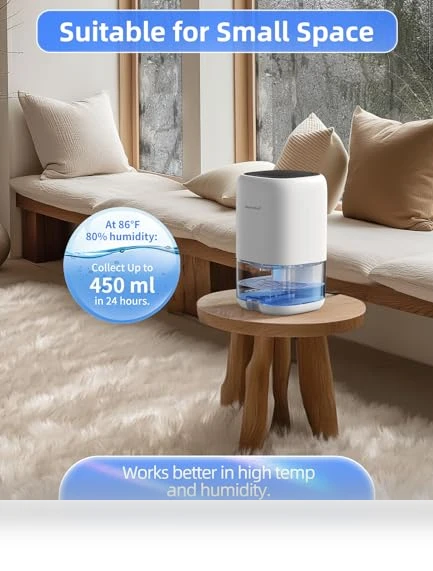 Small Dehumidifier — Air Moisture Control, TABYIK