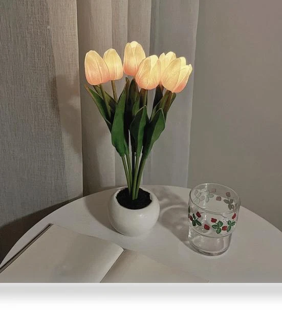 LED Night Light with Touch Control — Night Lights, Kitchen artifact