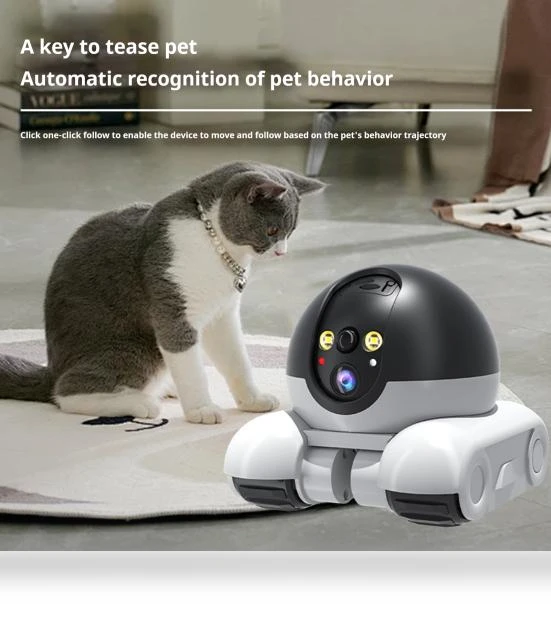 Pet Camera with Night Vision — Cameras & Monitors, Neworld Life