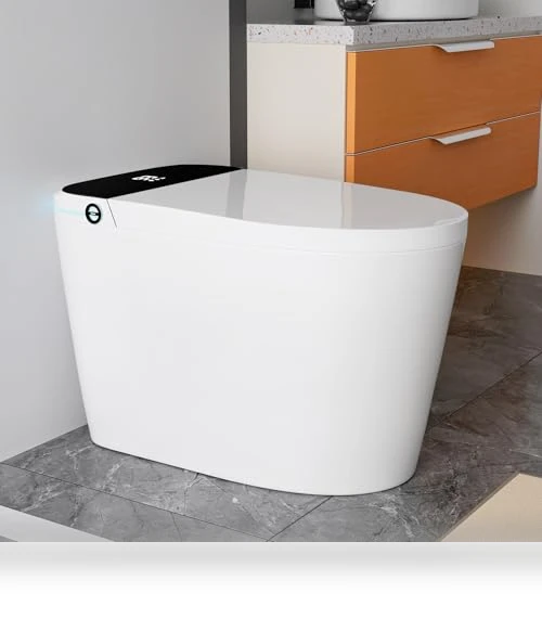 Smart Toilet with Heated Seat and Bidet — Bathroom Essentials, WinZo