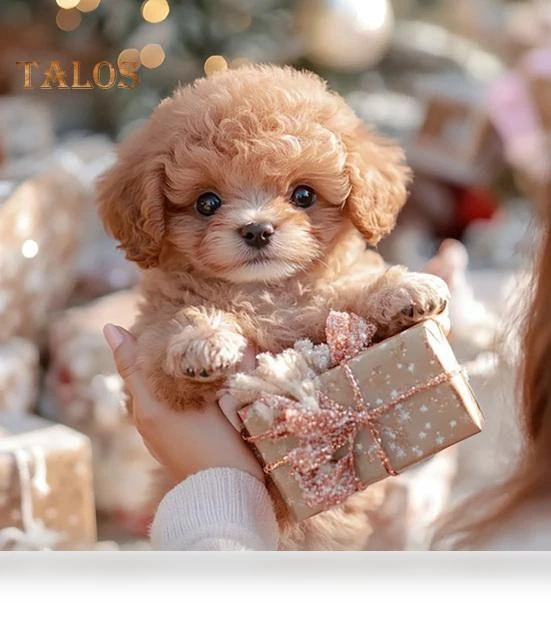 Electric Pet Puppy — Interactive Animal Companions, Beautybay