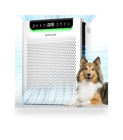 Large Room Air Purifier — Activated Carbon Air Purifiers