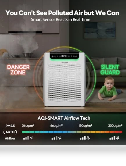 Large Room Air Purifier — Activated Carbon Air Purifiers
