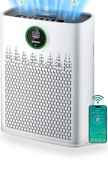 Smart Air Purifier for Home Large Rooms — Air Moisturizers, ECOSELF