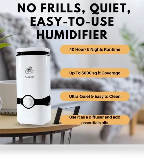 Cool Mist Humidifier with Essential Oil Diffuser — Air Moisturizers, Alydon