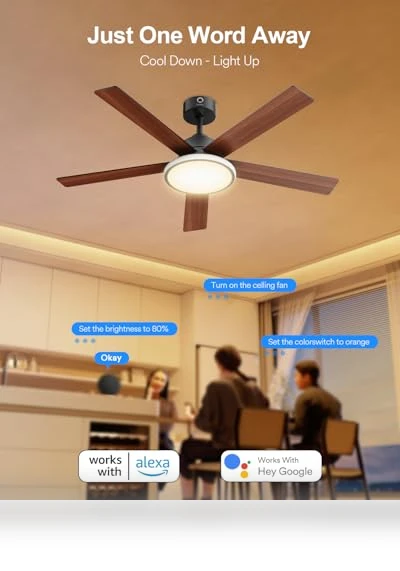 Smart Ceiling Fan with Lights — Ceiling Fan Wall Controls, Lumary