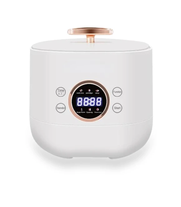 Smart Rice Cooker — Electric Cookers, Lntelligent Living Hall