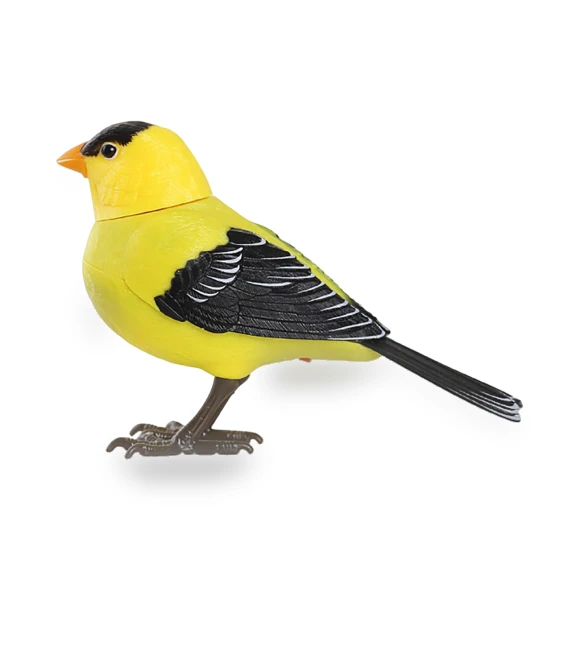 Voice and light controlled fun bird imitation toy — Interactive Learning Devices, Shredded cabbage