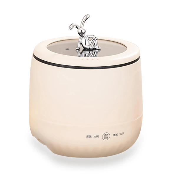Mini Rice Cooker — Electric Cookers, DC-Home-2