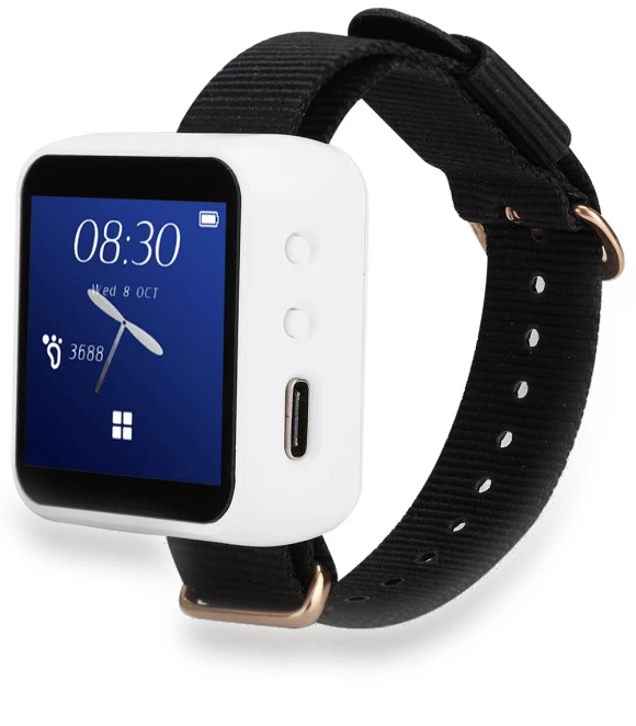 Smart Watch — Smartwatches, Honor Electronics