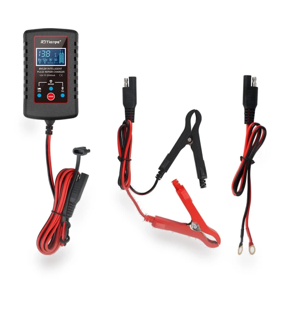 Multiple Protections Smart Battery Charger — Battery Chargers, Auto Home Solutions