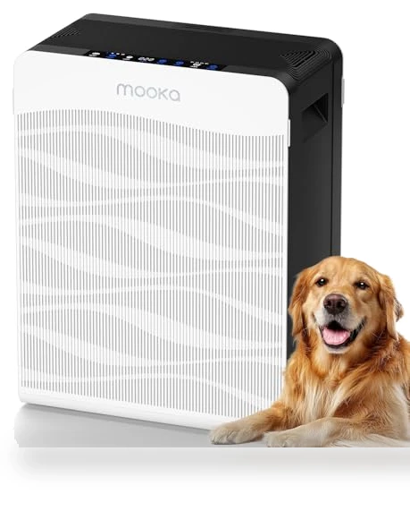 Double-Sided Air Purifier with PM 2.5 Monitor — Activated Carbon Air Purifiers, Mooka