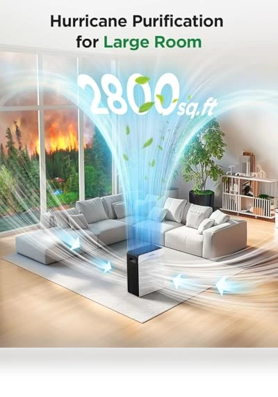 Double-Sided Air Purifier with PM 2.5 Monitor — Activated Carbon Air Purifiers, Mooka