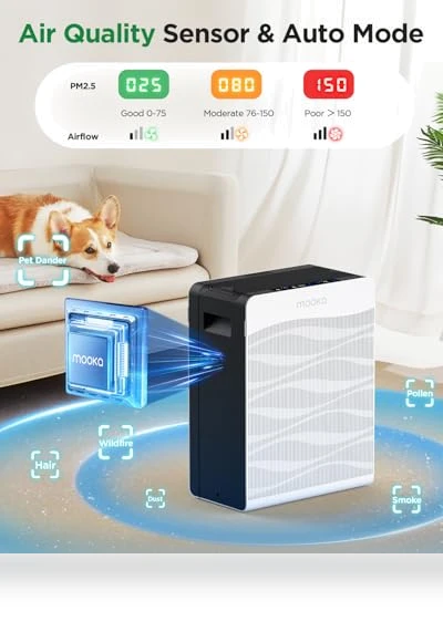 Double-Sided Air Purifier with PM 2.5 Monitor — Activated Carbon Air Purifiers, Mooka