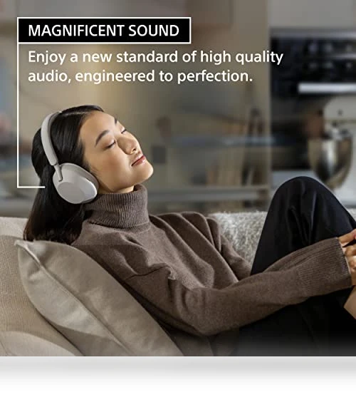 Premium Noise Canceling Headphones — Audio Gear, Sony