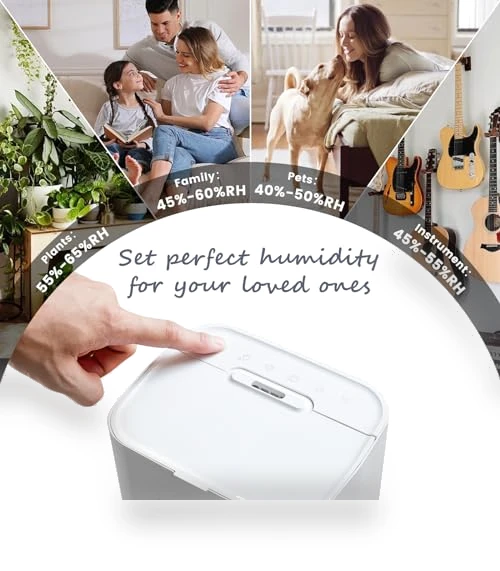 Quiet Ultrasonic Cool Mist Humidifier — Air Moisturizers, AILINKE