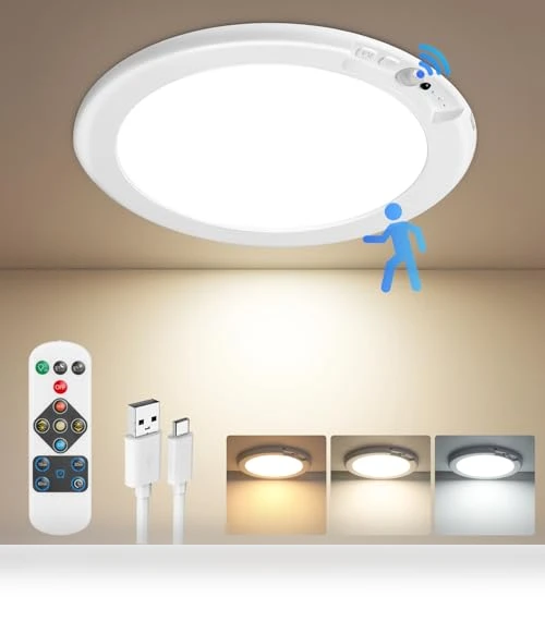 Motion Sensor Ceiling Light — Overhead Lighting, Bairth