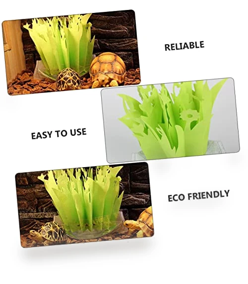 Reptile Humidifier Plant Design — Lighting, Parliky