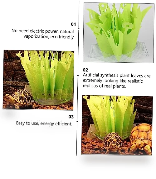 Reptile Humidifier Plant Design — Lighting, Parliky