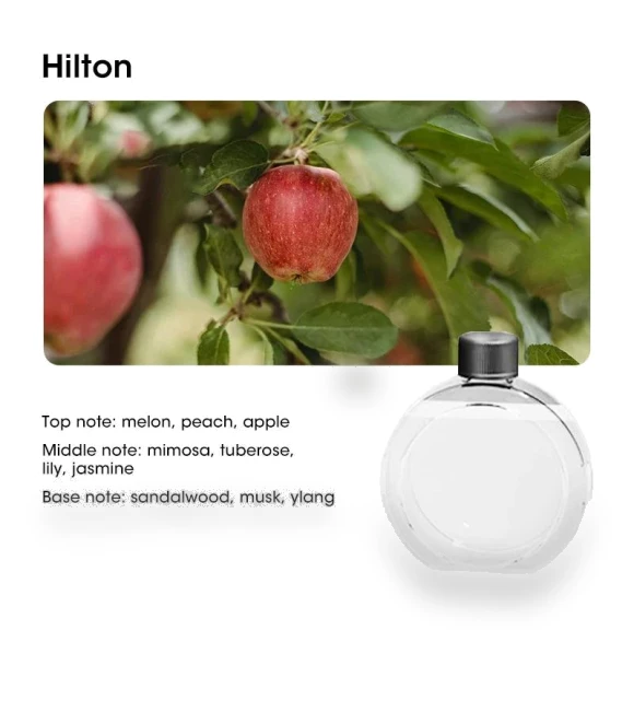 Smart Aroma Diffuser Air Purifier — Diffusers, Exquisite goods home furnishing