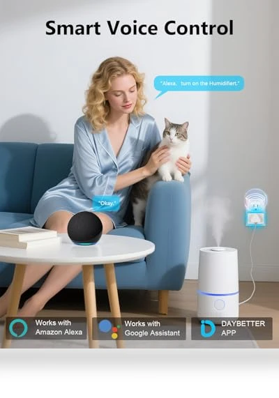 Smart Plug — Smart Home Hubs & Controllers, DAYBETTER