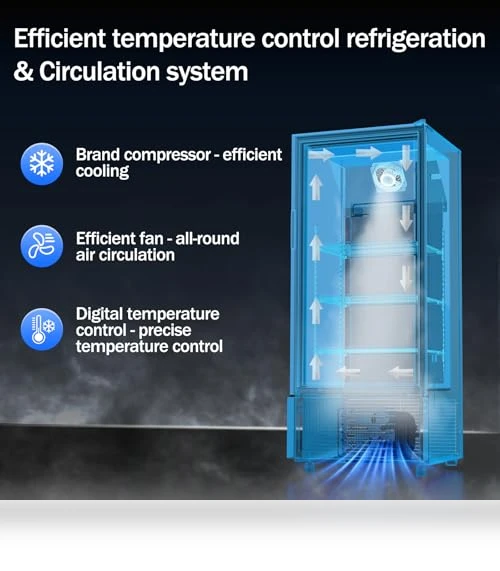 Commercial Beverage Refrigerator — Drink Coolers, BINGERMA