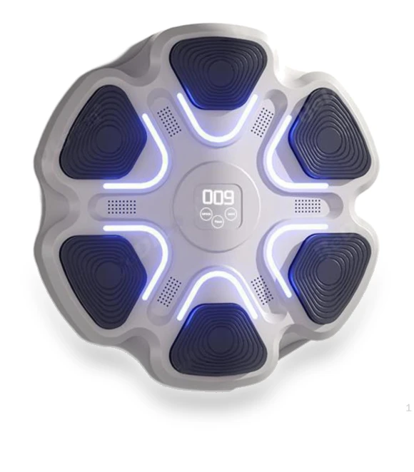 Smart Musical Boxing Trainer — Training Focus Mitts, SunshineTek