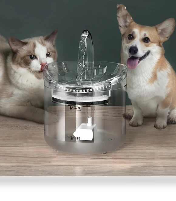 Smart Water Dispenser for Pets — Feeding Supplies, YC Direct