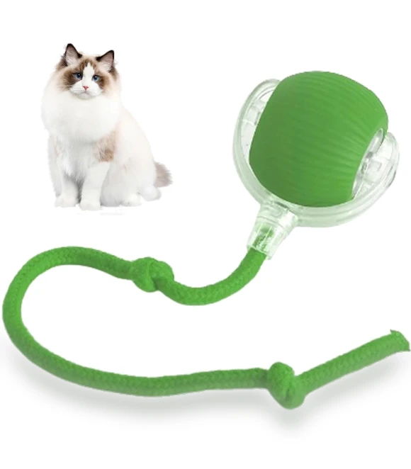 Interactive Lettuce Rolling Ball Toy — Interactive Animal Companions, Chicago Rose