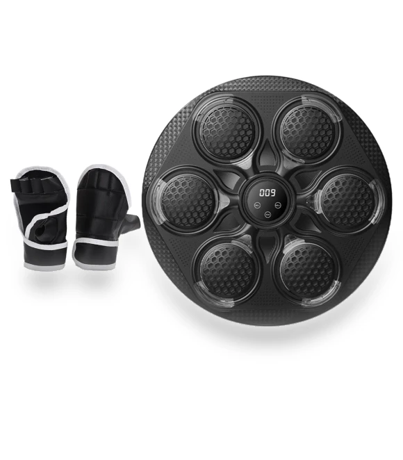 LED Bluetooth Smart Electronic Music Training Boxing Bag — Boxing Training Gear, Binchi Keji Travel