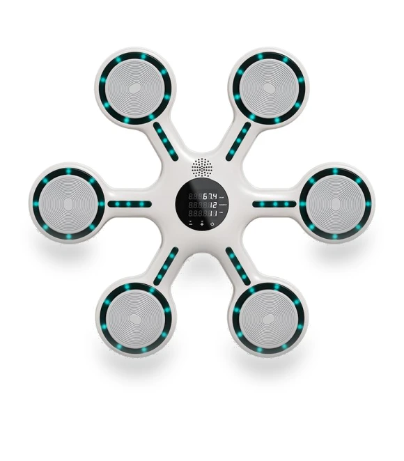 Smart Bluetooth Light Music Target — Boxing Training Gear, Binchi Outdoor Equipment