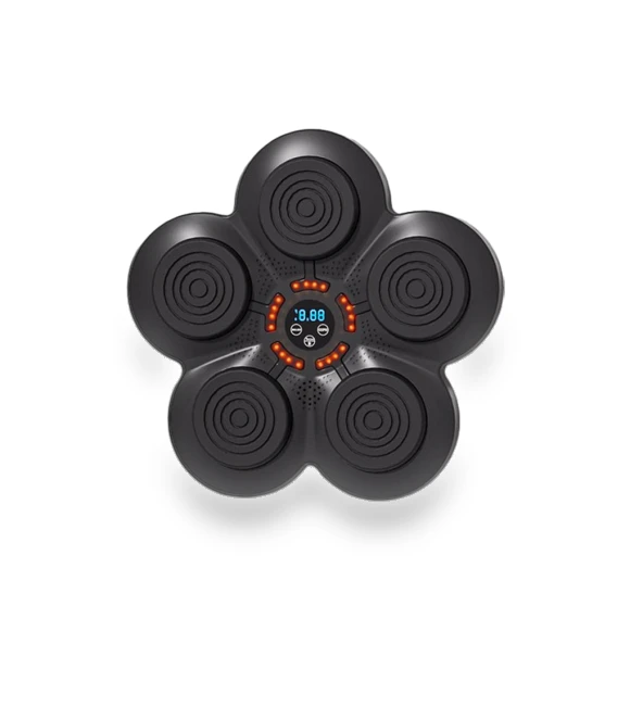 Smart Musical Boxing Target — Boxing Training Gear, Binchi Keji Travel