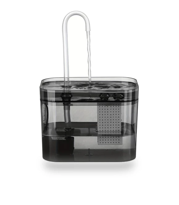 Automatic Water Fountain for Cats — Pet Hydration Solutions, Prodigen