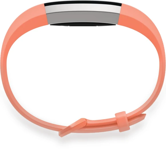 Fitness Activity Tracker — Fitness & Activity Monitors, Large discount