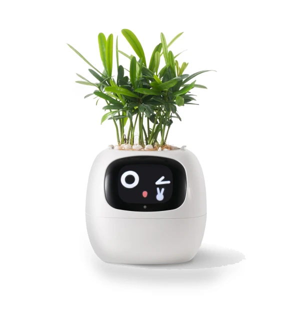 Умный робот-кашпо для питомцев — Bonsai Cultivation, DOKI DOKI MARKET form NIPPON