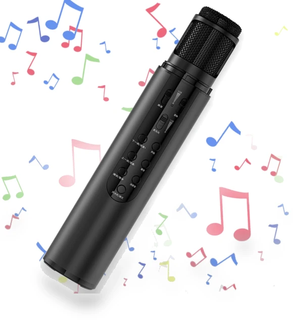 Karaoke Microphone with Bluetooth Speaker — Phone Accessories, HAYAO