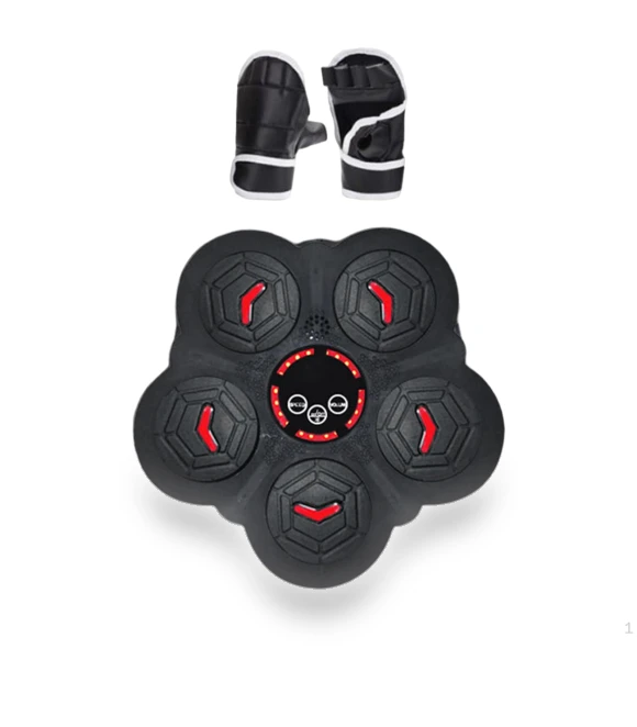 Musical Boxing Trainer — Boxing Training Gear, HappyToy