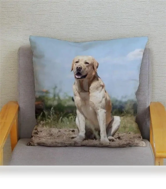 Smart Labrador Retriever Pillow Cover — Pillow Covers, zheyu