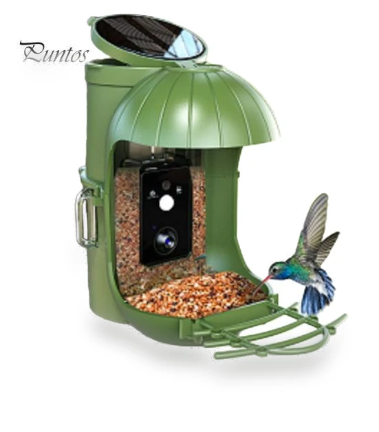 Smart Bird Feeder with Camera — Outdoor & Wildlife Cameras, Pet park