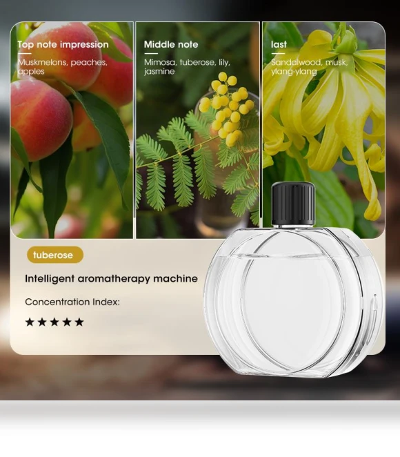USB Smart Aromatherapy Oil Diffuser — Diffusers, WinHolder