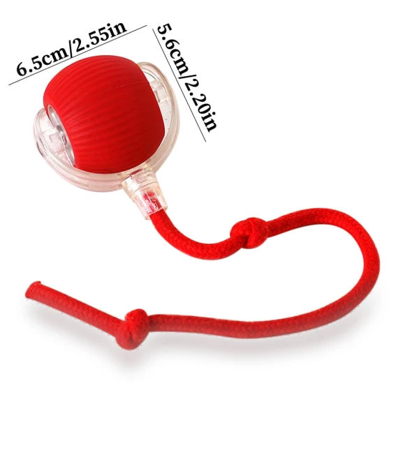 Automatic Rolling Ball for Cats — Cat Playthings, HQ Uneed