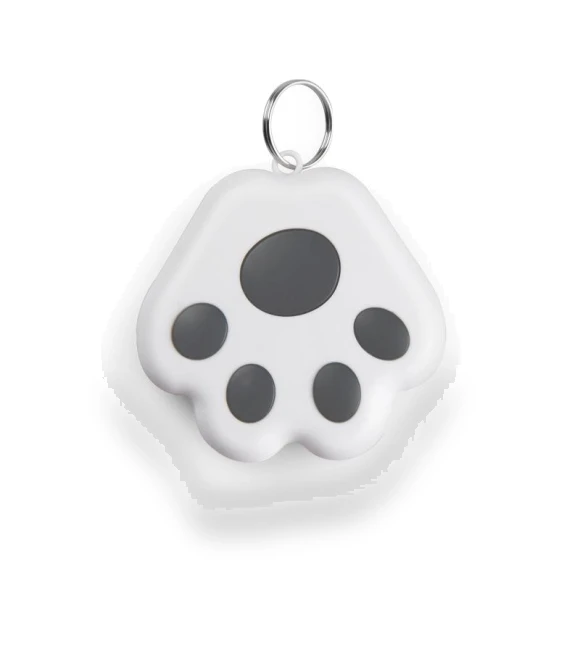 Bluetooth Anti-Loss Smart Keychain — Item Locators, lanle