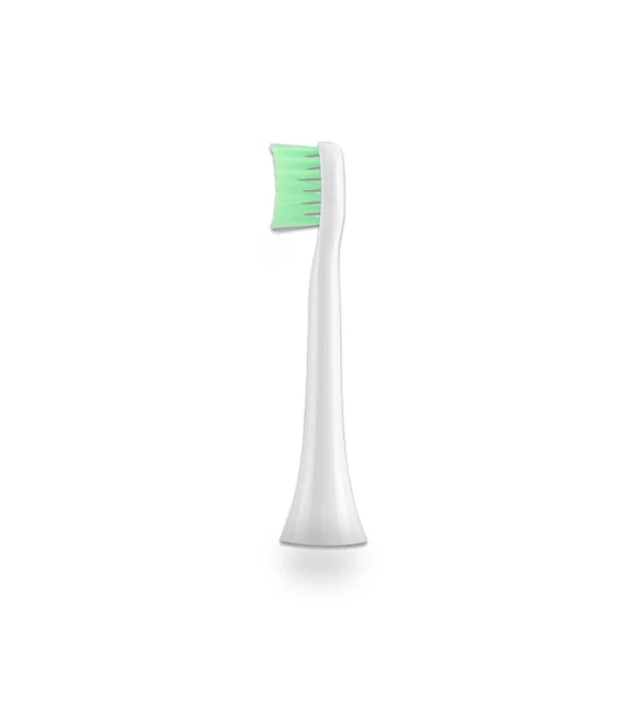 Electric Sonic Toothbrush for Adults — Electric Toothbrush Heads, Light makeup