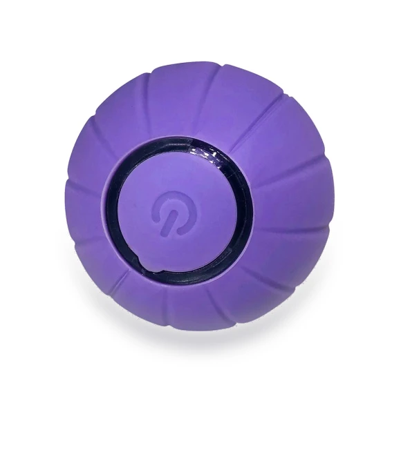 Interactive Smart Toy for Cats — Cat Playthings, Pet Zooo