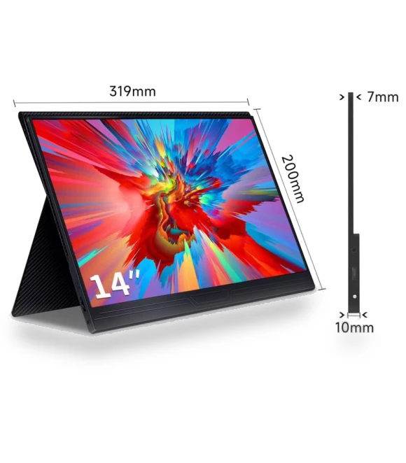 Portable Touchscreen Monitor — Display Solutions, Rizy