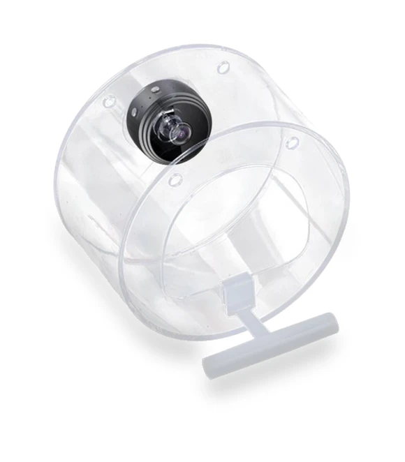 Smart Bird Feeder with Camera — Backyard Birding, Balala