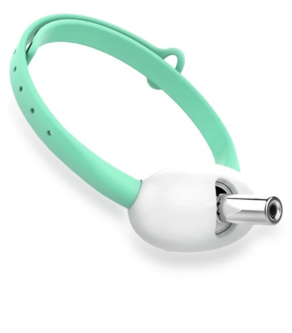Smart Teasing Collar for Cats — Cat Playthings, Ximalaya